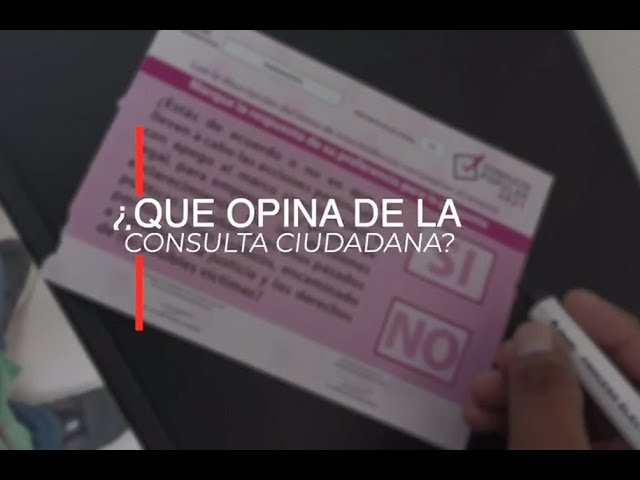 ¿Qué opinas de la Consulta Popular?
