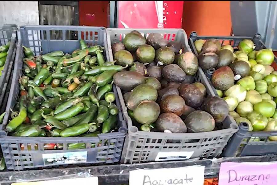Bajan precios de frutas y verduras entre 5 y 10%