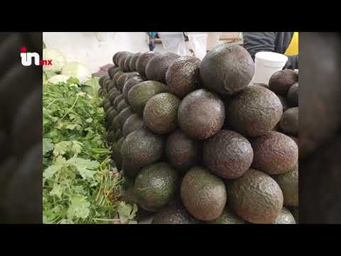 Caro y escaso, así está el aguacate en Matamoros