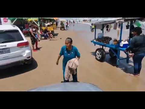 Disfrutan bañistas en la Playa Bagdad