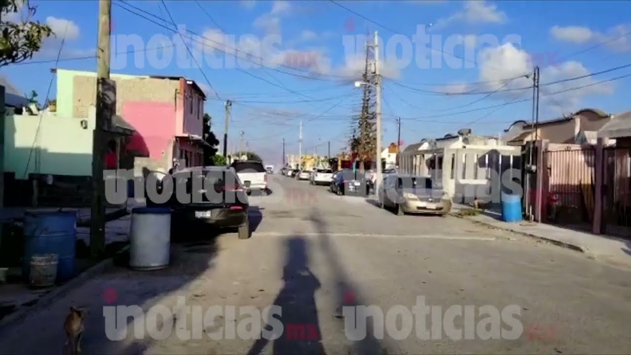 Como los zancudos, van que vuelan fumigando