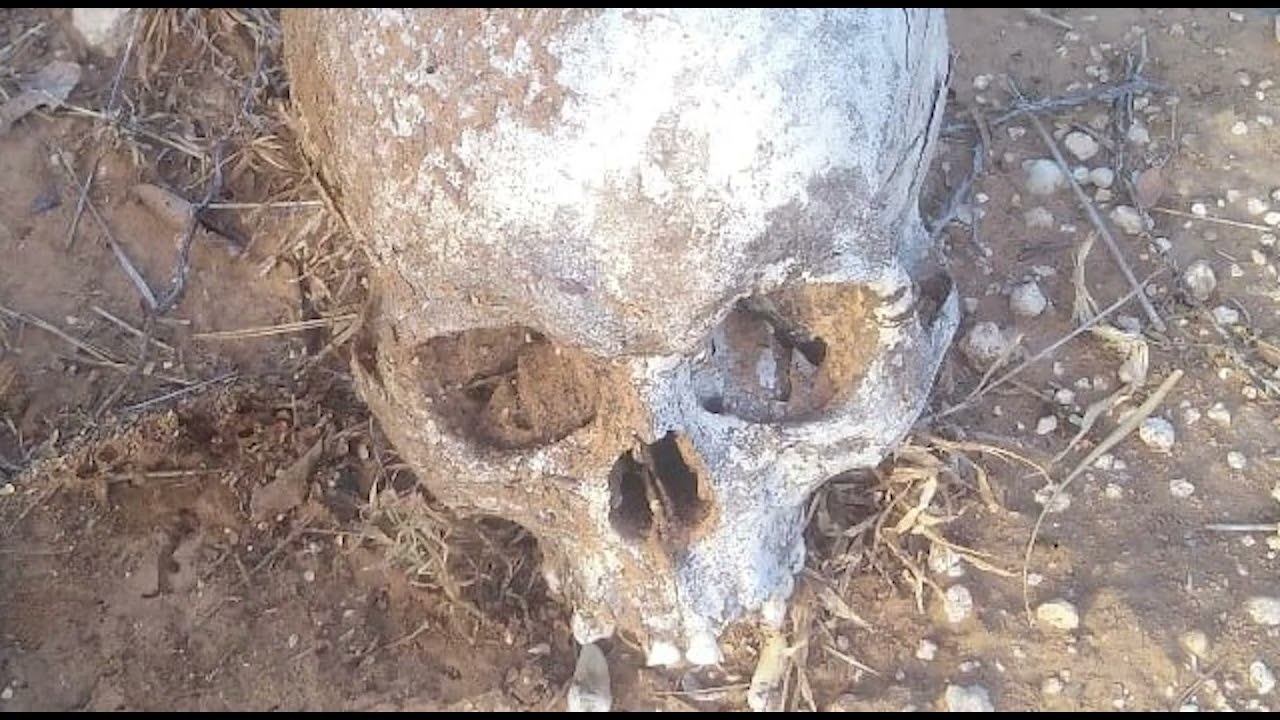 Encuentran osamenta en colonia de Reynosa