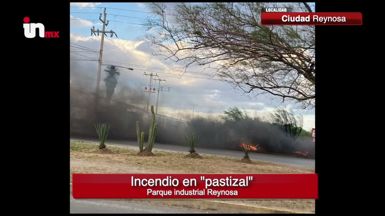 Se incendio pastizal en parque industrial