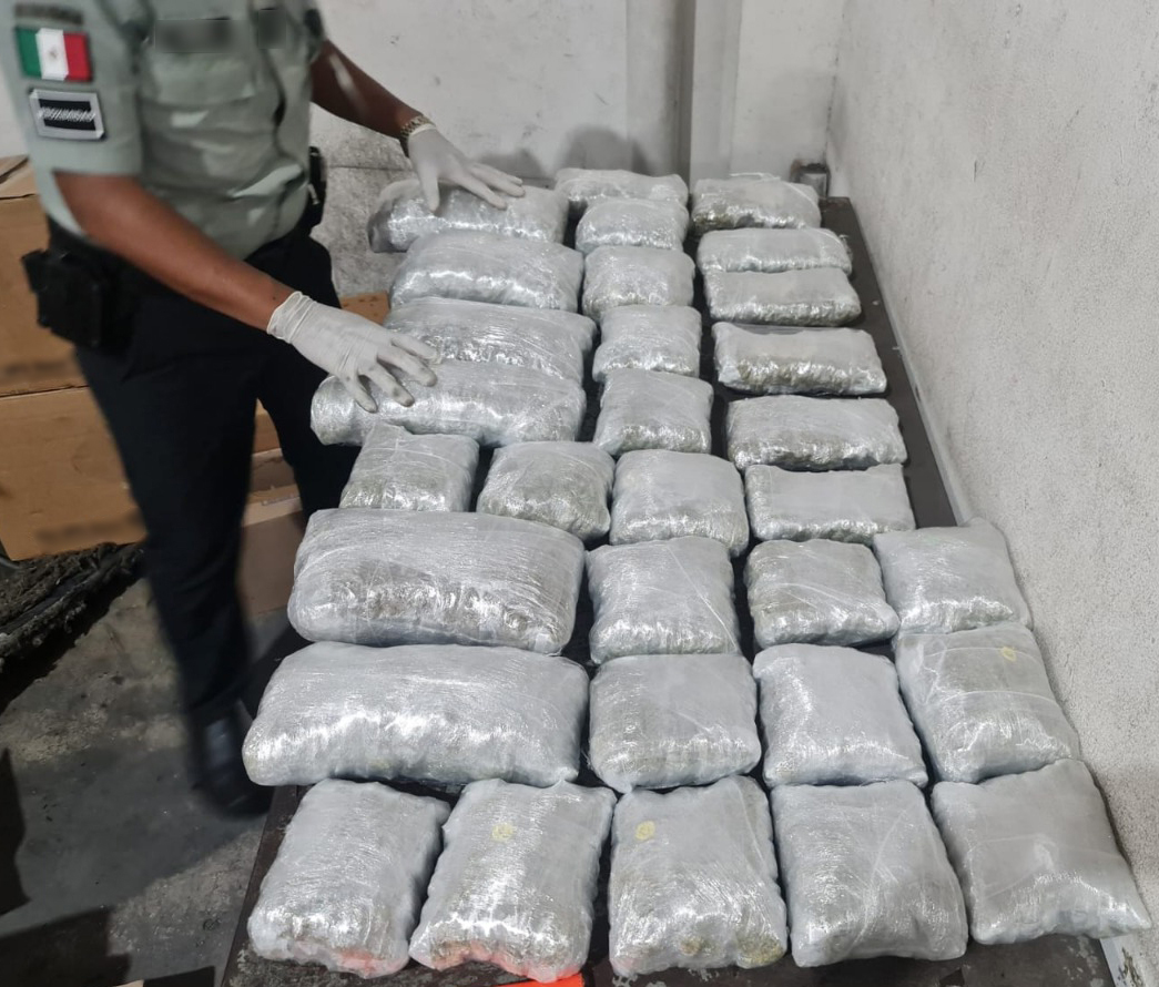 EN QUINTANA ROO, GN Y ANAM ASEGURAN PAQUETES DE APARENTE MARIHUANA