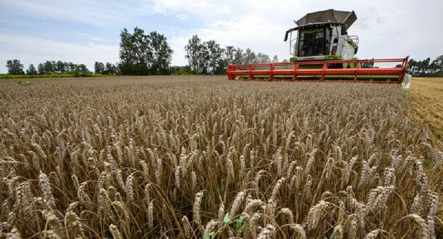 Greenpeace denuncia que 4 empresas controlan el 70 % del comercio de cereales