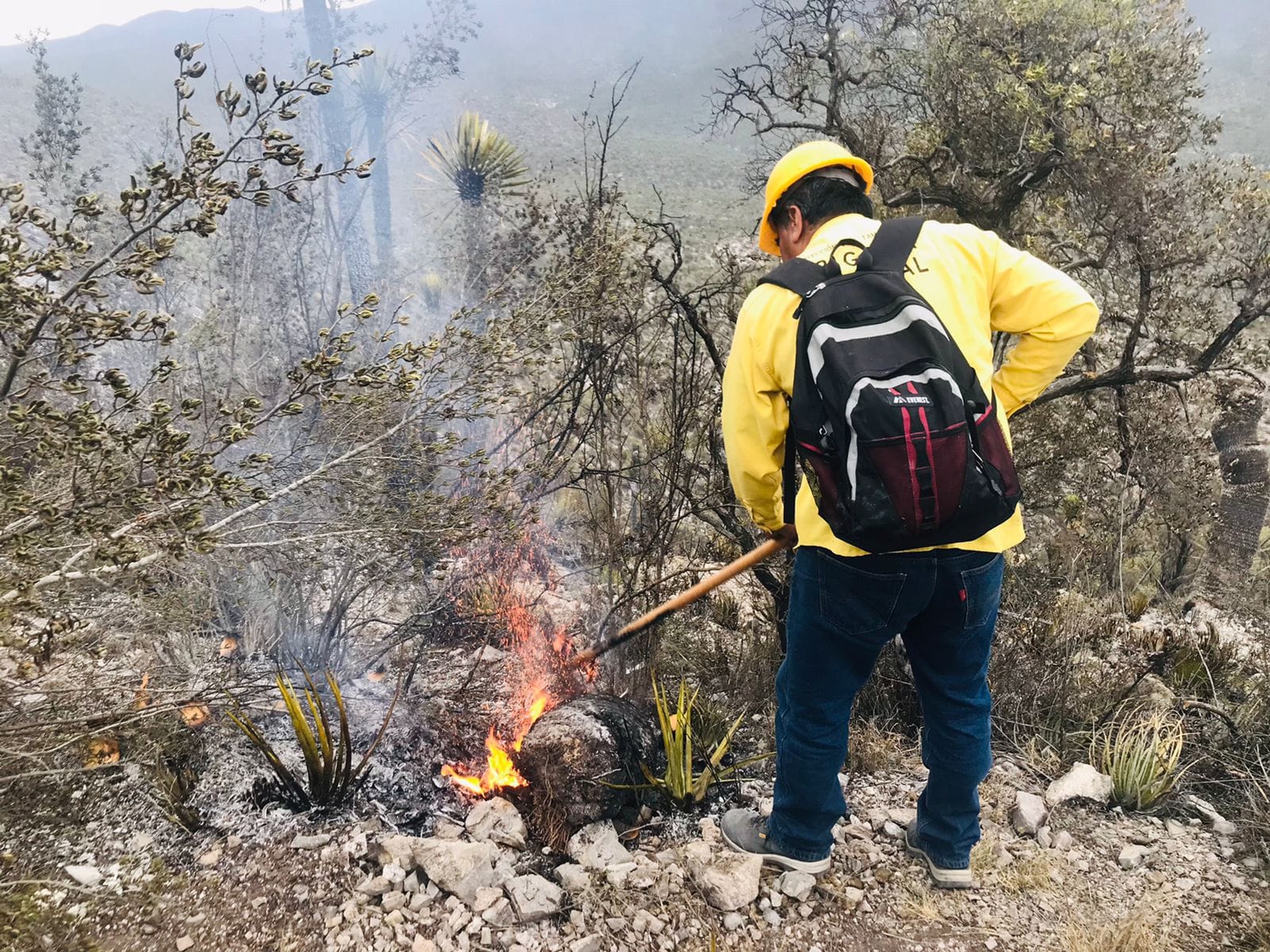 Apoya PC del Estado en control de incendio forestal en Bustamante