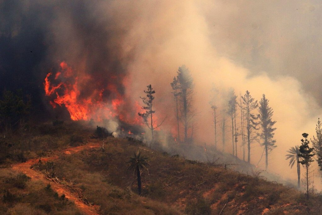 Confirman alrededor de 24 fallecidos tras los incendios forestales en Chile