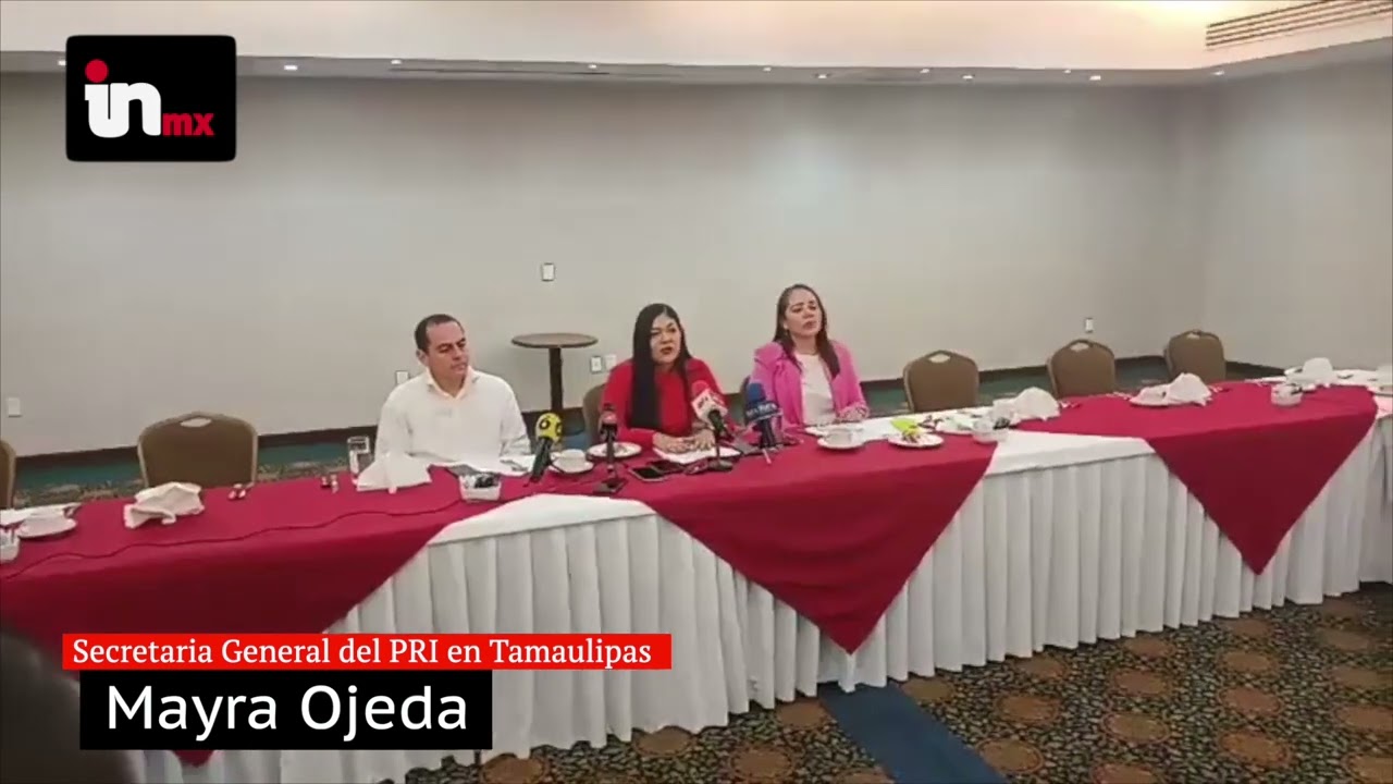 VIOLENCIA POLÍTICA DE GÉNERO