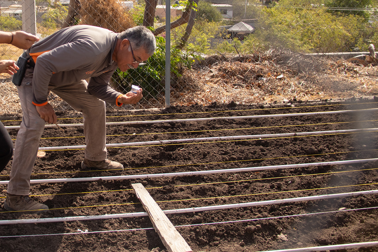 Desarrolla UAT proyecto de composta y huertos orgánicos