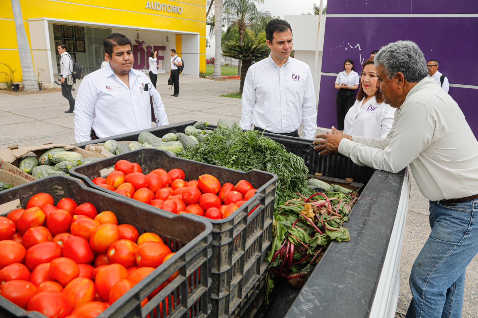 Recibe DIF Tamaulipas donativo de 213 kilogramos de hortalizas