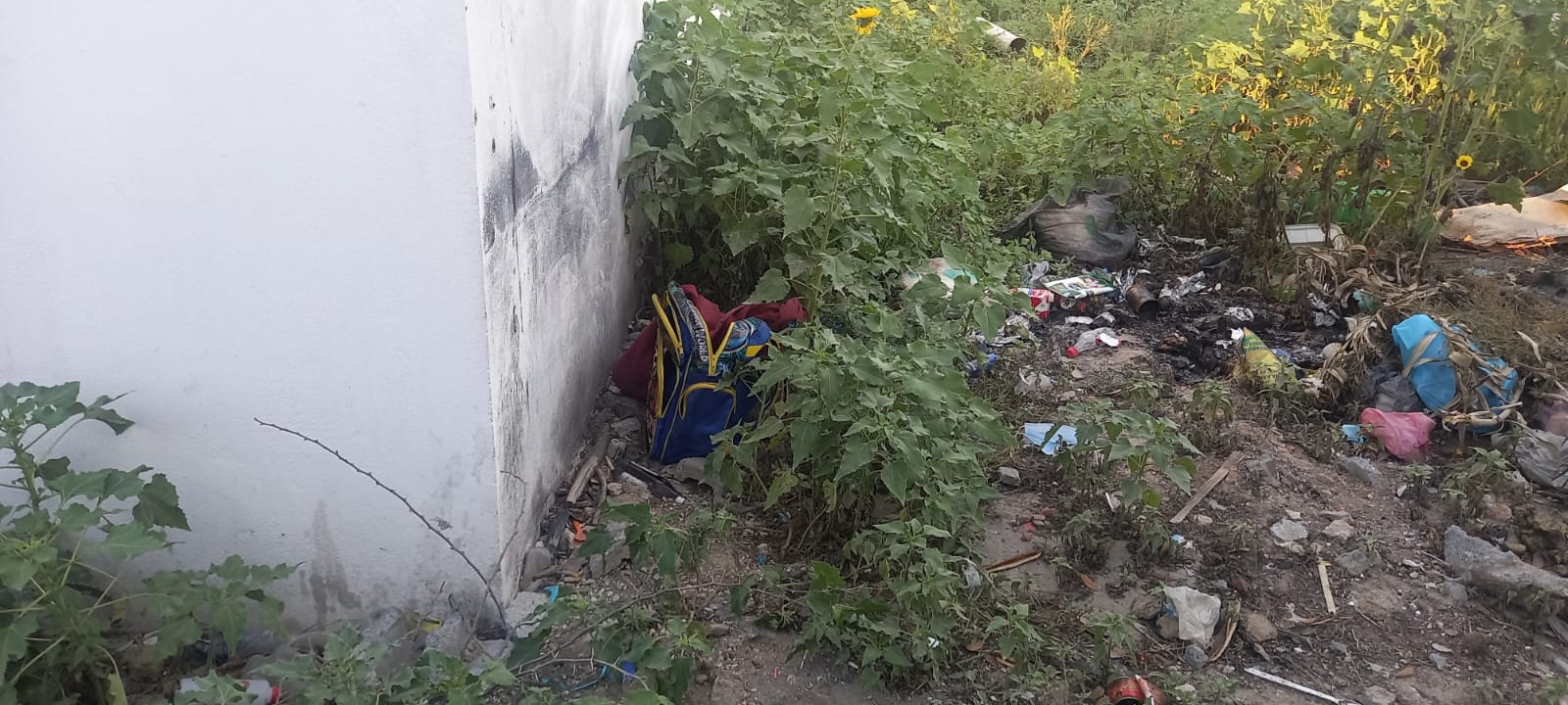 Hallazgo de Restos humanos en Reynosa