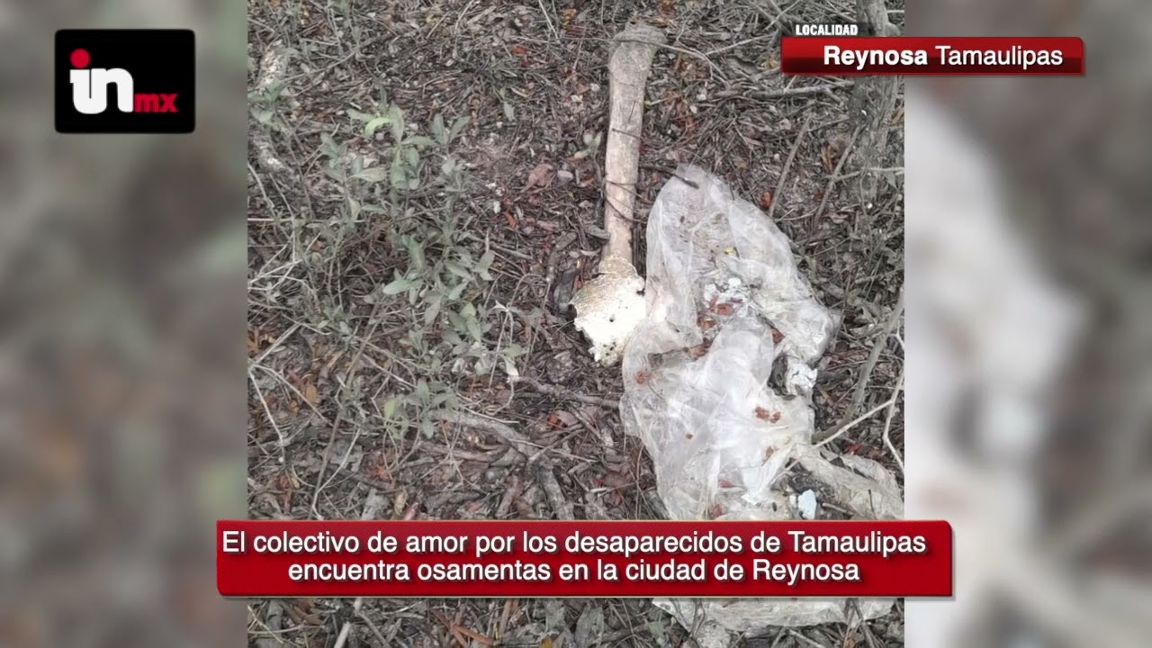 COLECTIVO DE BÚSQUEDA ENCUENTRA OSAMENTA