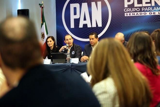 Se bajará PAN de reforma al TEPJF