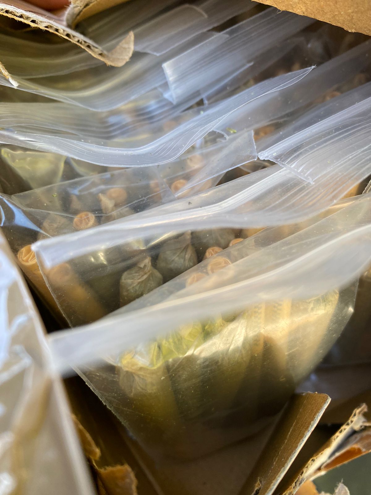 ASEGURA PAQUETES DE MARIHUANA EN EMPRESA DE MENSAJERÍA
