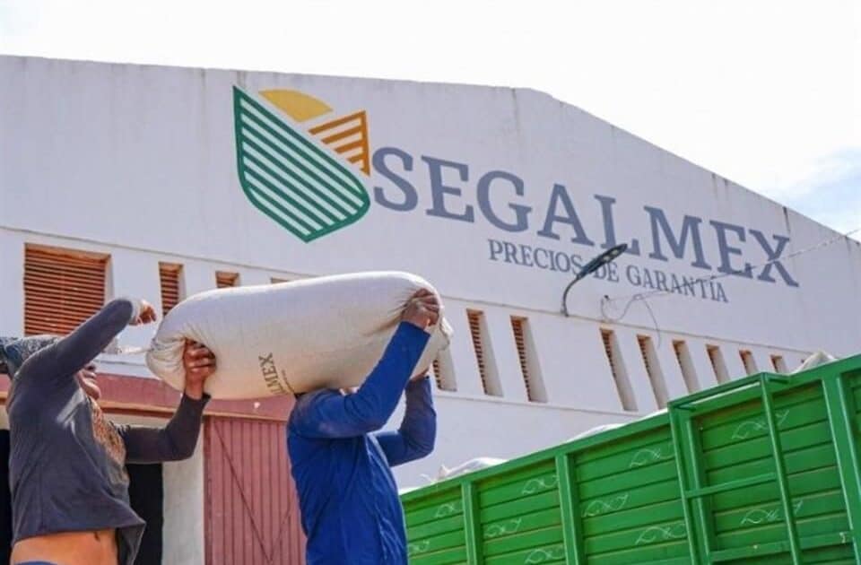 CASO SEGALMEX: DENUNCIAN A 41 EX FUNCIONARIOS PÚBLICOS POR FRAUDE
