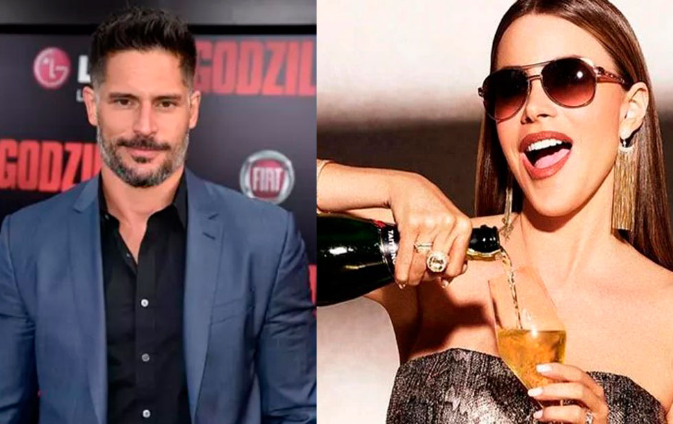 Esta es la causa que terminó con matrimonio de Sofia Vergara