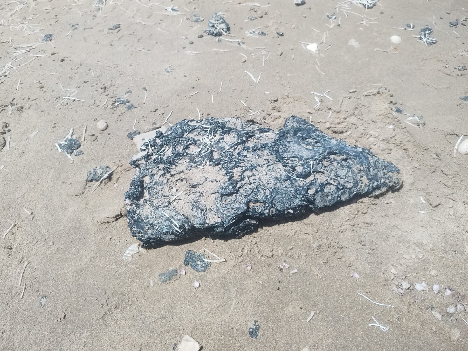 Se llenan las playas de Matamoros de chapopote.