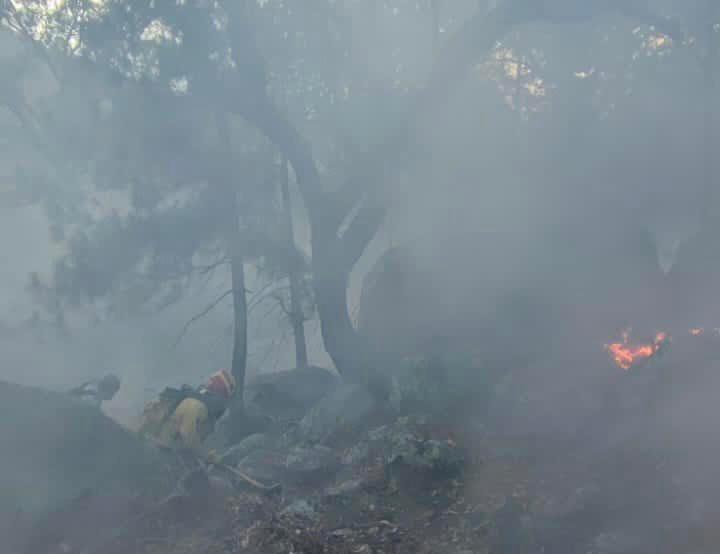 Protección Civil Tamaulipas y CONAFOR extinguen incendio forestal en San Carlos