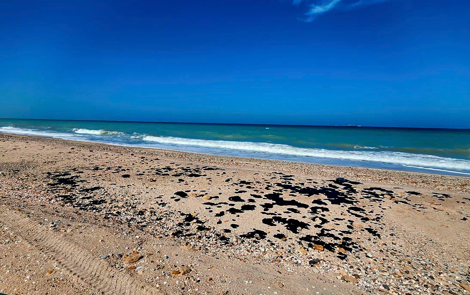 Inspeccionan SEDUMA y PEMEX presencia de hidrocarburo en playas de Tamaulipas