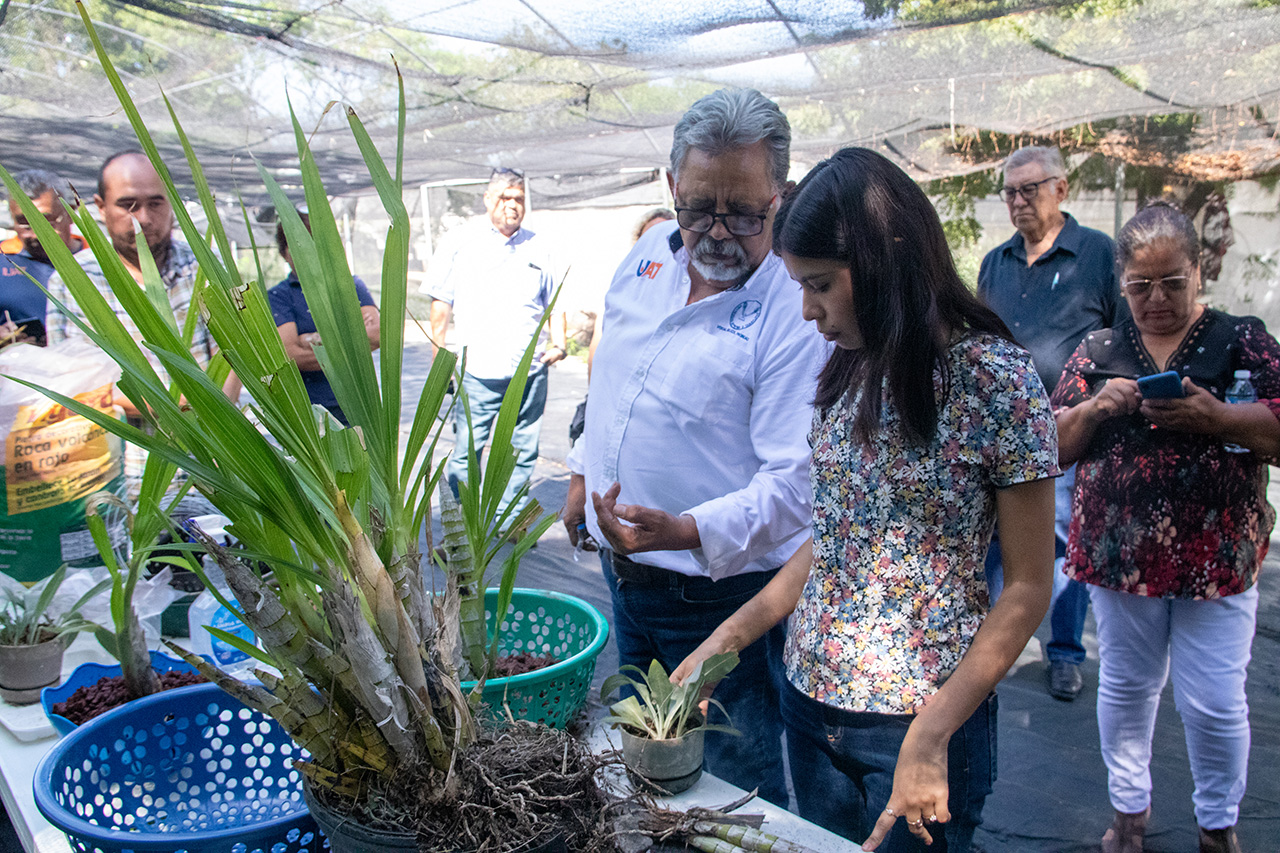 Promueve UAT el cultivo y conservación de orquídeas
