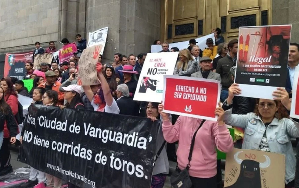 Cruzan posturas afuera de Corte por fiesta brava