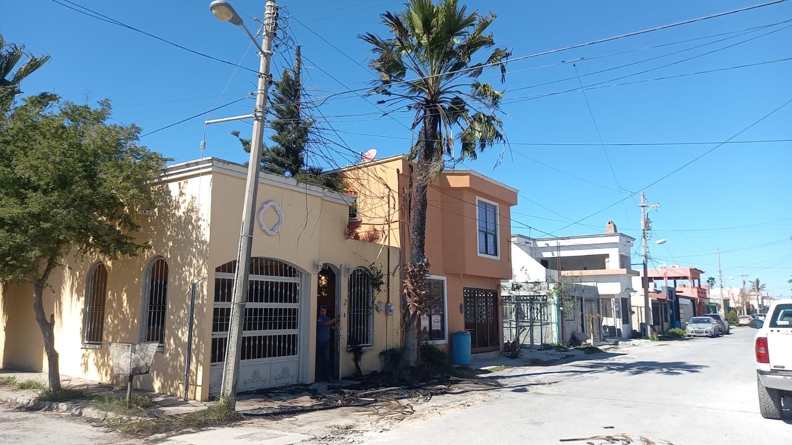 CAUSA ALARMA CABLES QUE INCENDIARON UNA PALMA
