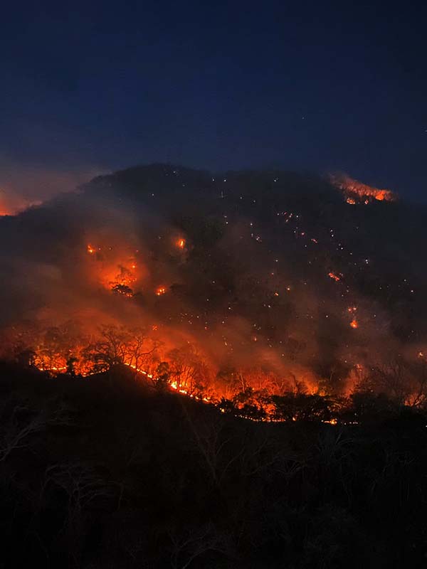 Temen incendio en cerro Mactumactzá haya sido provocado