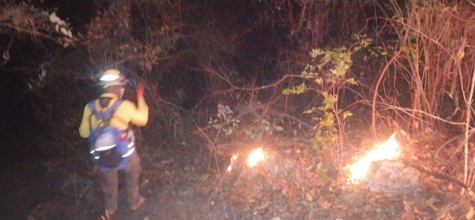 Incendio Forestal en Hidalgo une a pobladores con autoridades