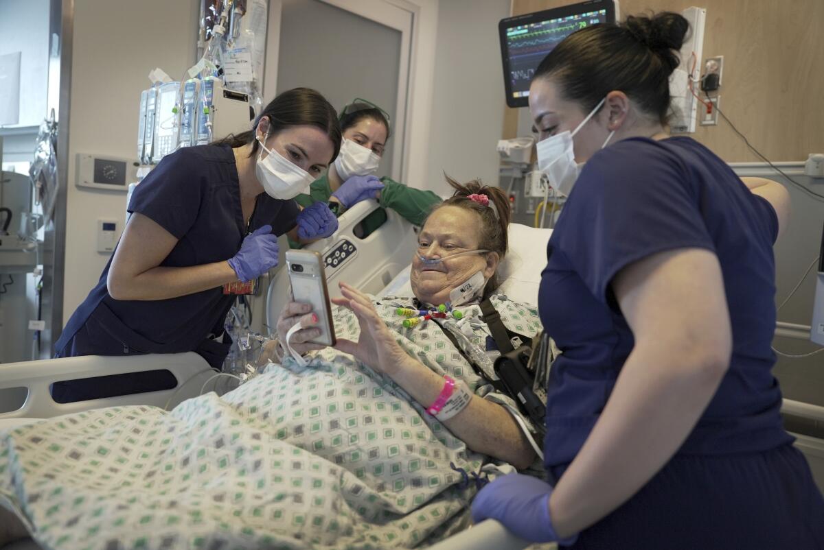 Médicos trasplantaron riñón de cerdo a mujer al borde de la muerte