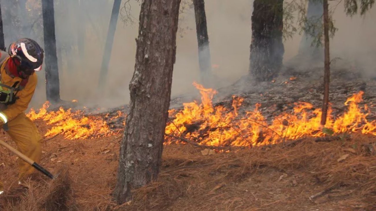Brigadistas ya combaten incendio forestal originado en SLP con extensión a NL
