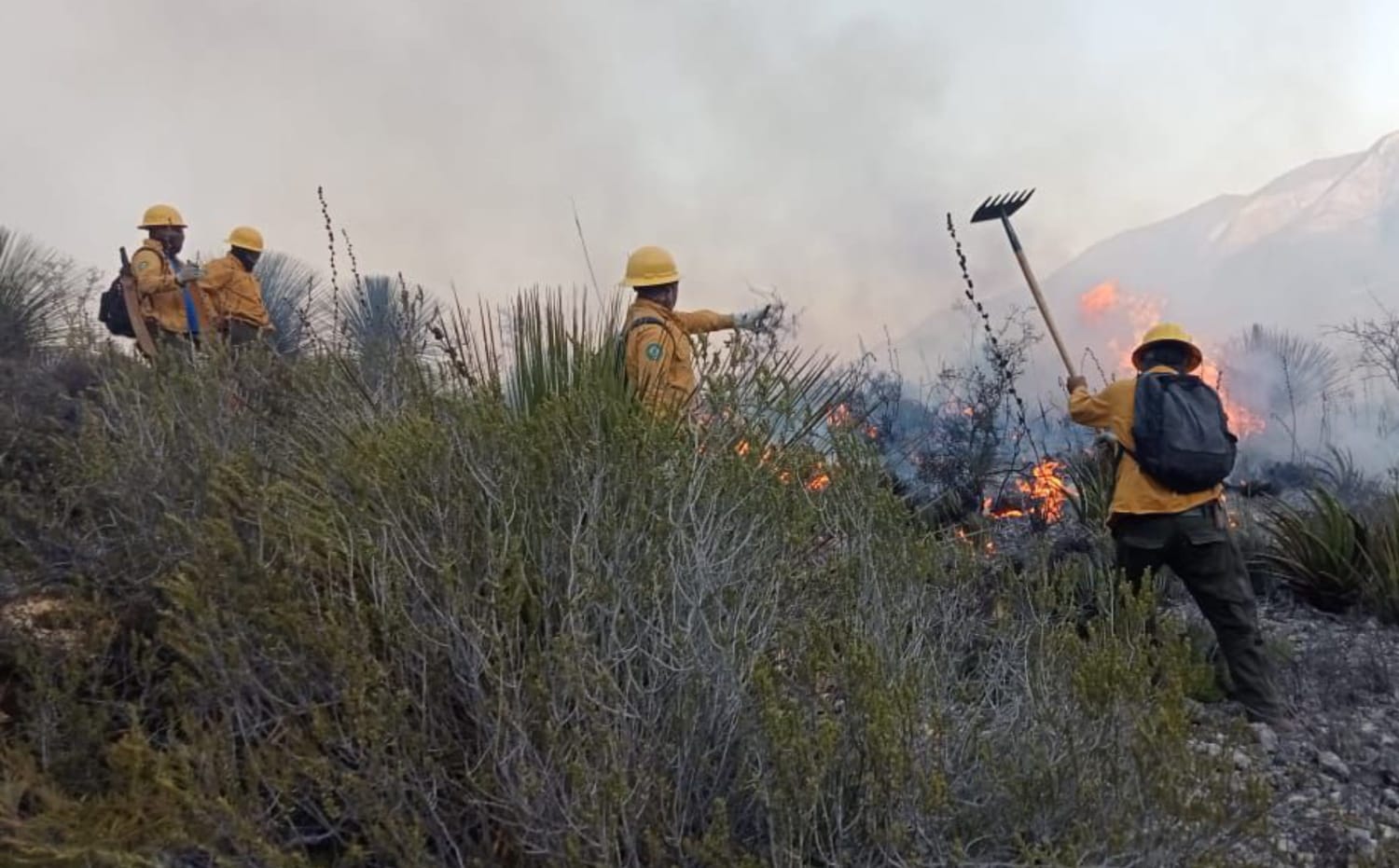 Refuerzan coordinación Estado y Federación para combatir incendio forestal