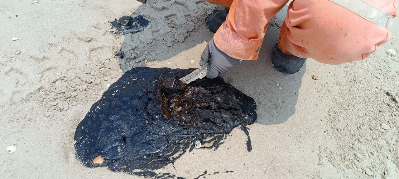 Investiga Procuraduría Ambiental presencia de hidrocarburo en playa Miramar y Tesoro