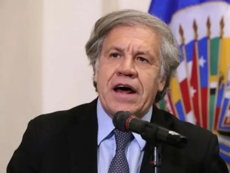 Luis Almagro dice a Sheinbaum que cuenta con la OEA para trabajar en pos de la justicia social