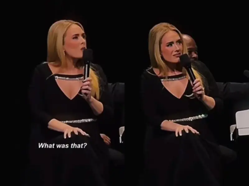 Adele explota contra un fan por comentario homofóbico durante un concierto