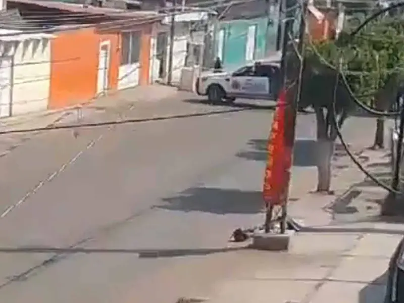 Asesinan a hijo de regidora del PAN en Irapuato, Guanajuato