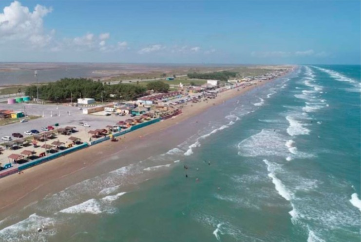Rumores de avistamiento de tiburones pegan a restaurantes de la playa