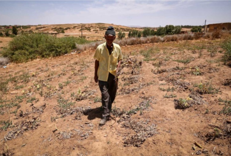 Ola de calor en Marruecos deja 21 muertos en 24 horas