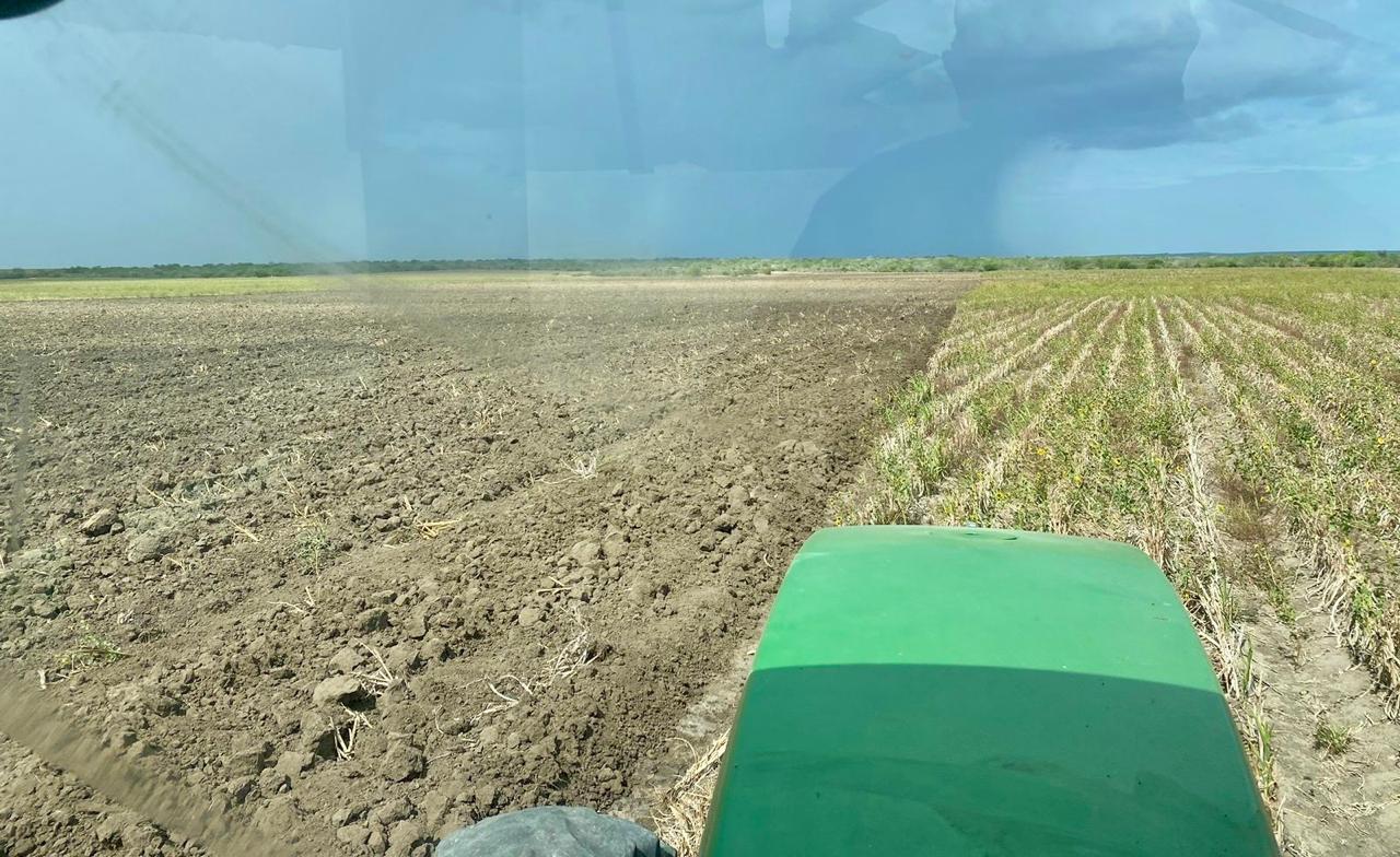 Agricultores llevan solo el 46% labranza de tierras en San Fernando