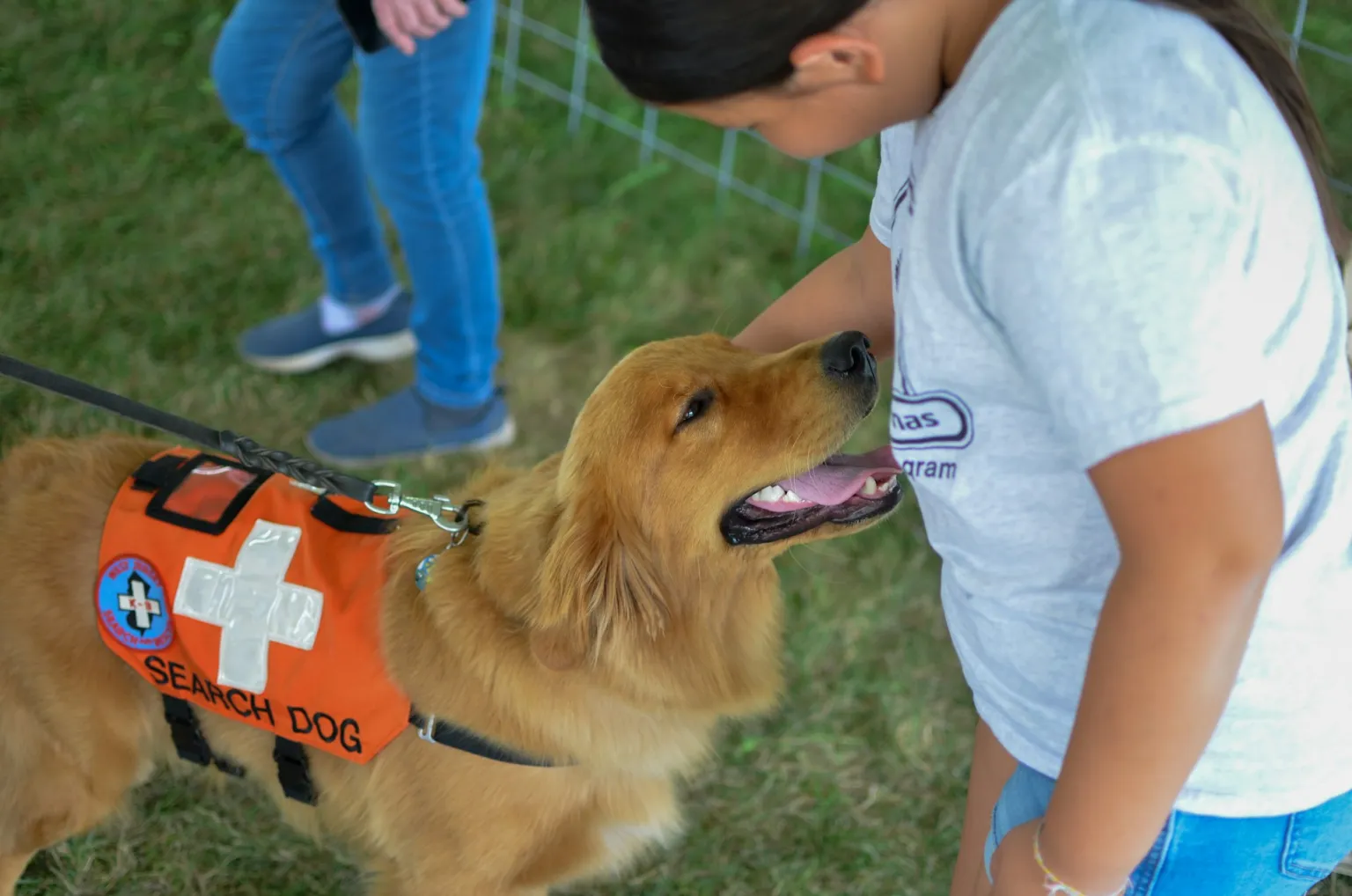 Se aprueba crear registro de perros de asistencia y animales de terapia