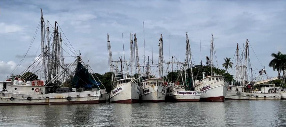 Es flota camaronera tamaulipeca, la más grande del Golfo de México