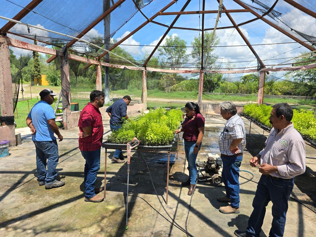 Presenta Desarrollo Rural programas de apoyo para productores agropecuarios y forestales