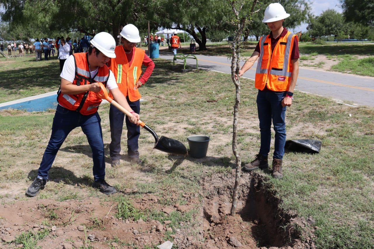 Se unen SEDUMA y estudiantes para reforestar laguna La Escondida en Reynosa