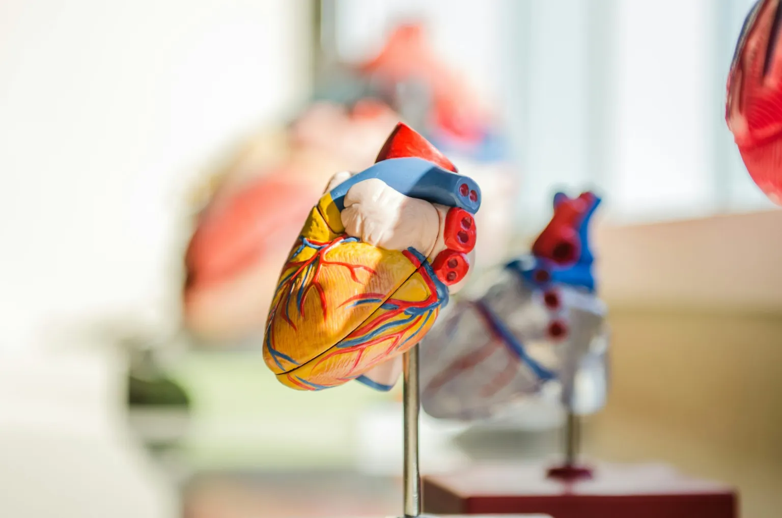 Alertan riesgo de aumento de enfermedades cardiovasculares en México
