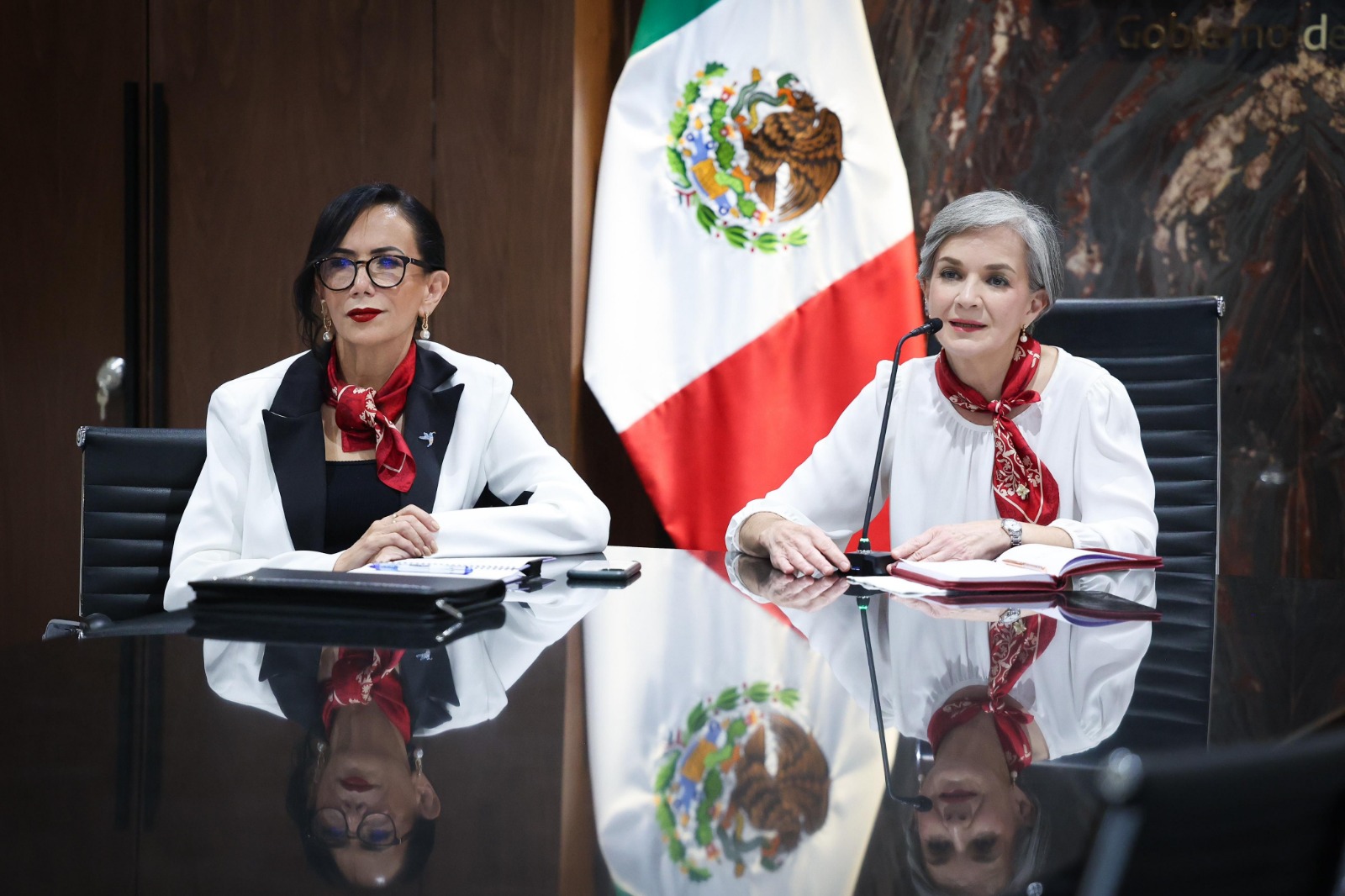 Participa María de Villarreal en reunión de trabajo con la nueva titular del DIF Nacional
