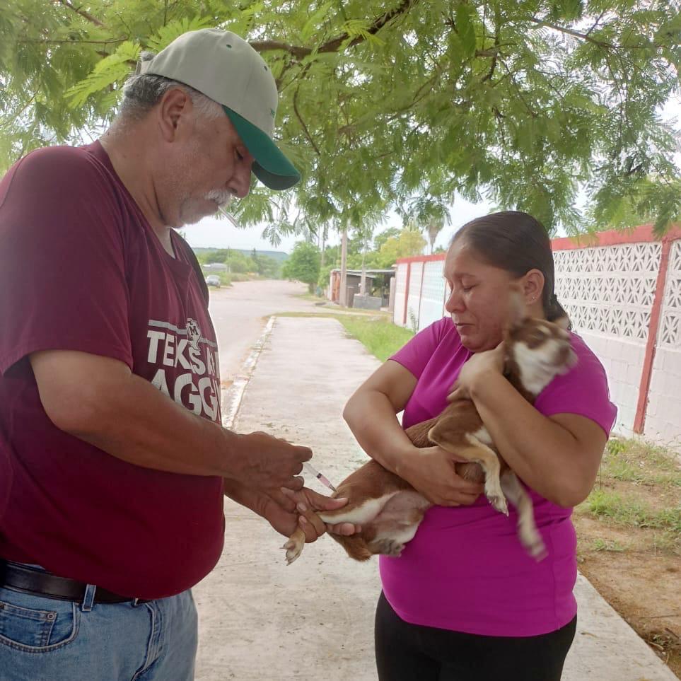 Aplica sector salud más de 2 mil vacunas antirrábicas en San Fernando