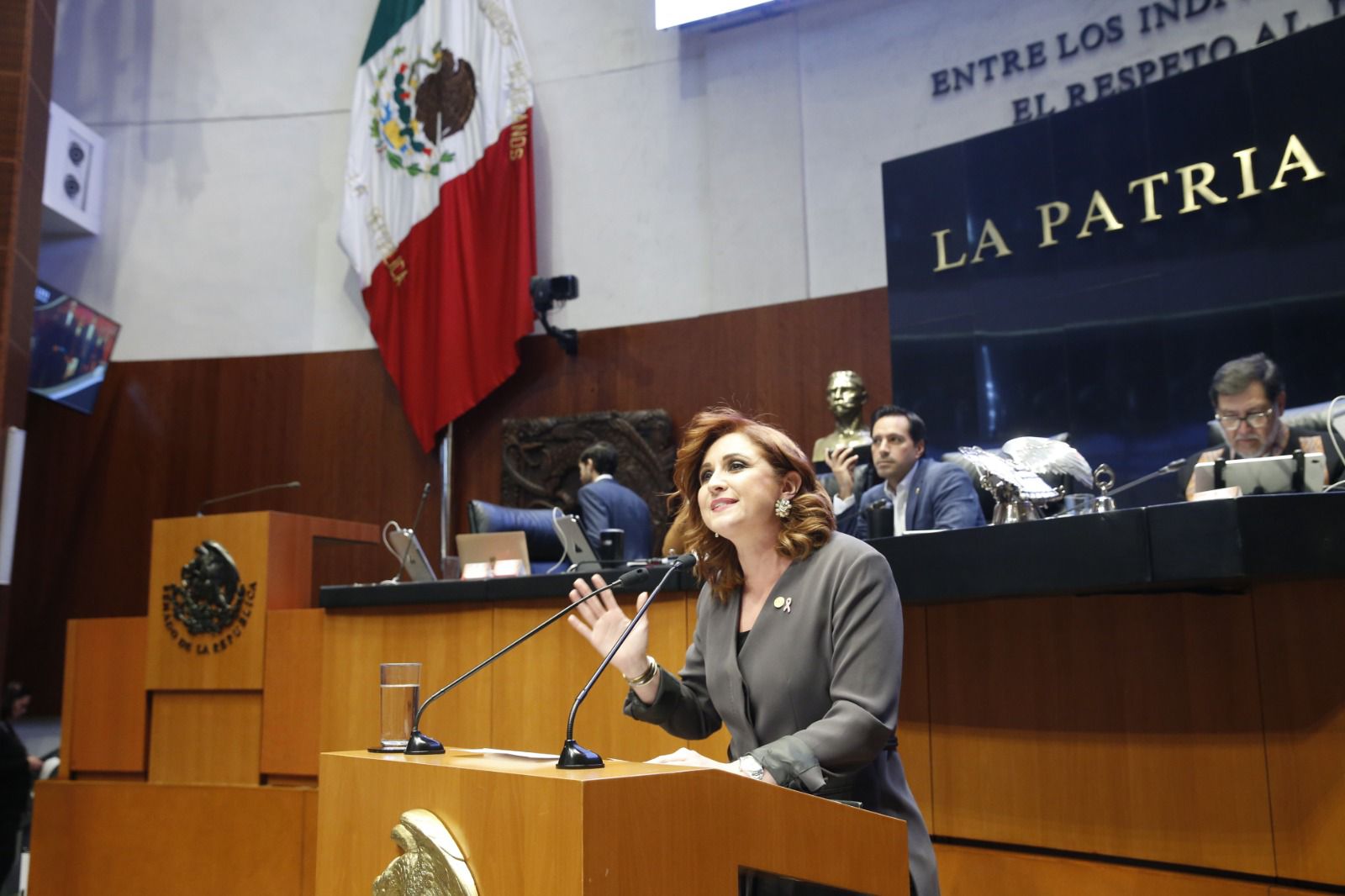 LAMENTA IMELDA SANMIGUEL EL RIESGO EN EL QUE ESTÁN LAS LIBERTADES DE LOS MEXICANOS