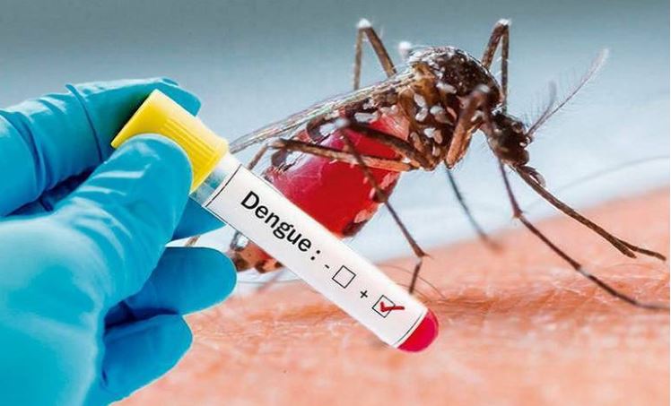 Van dos decesos más por dengue
