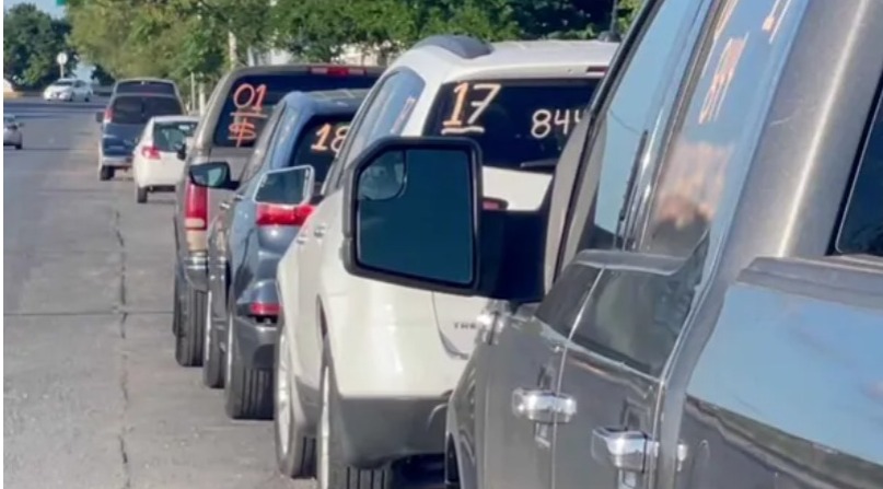 En aumento demandas por robo de identidad en Repuve.