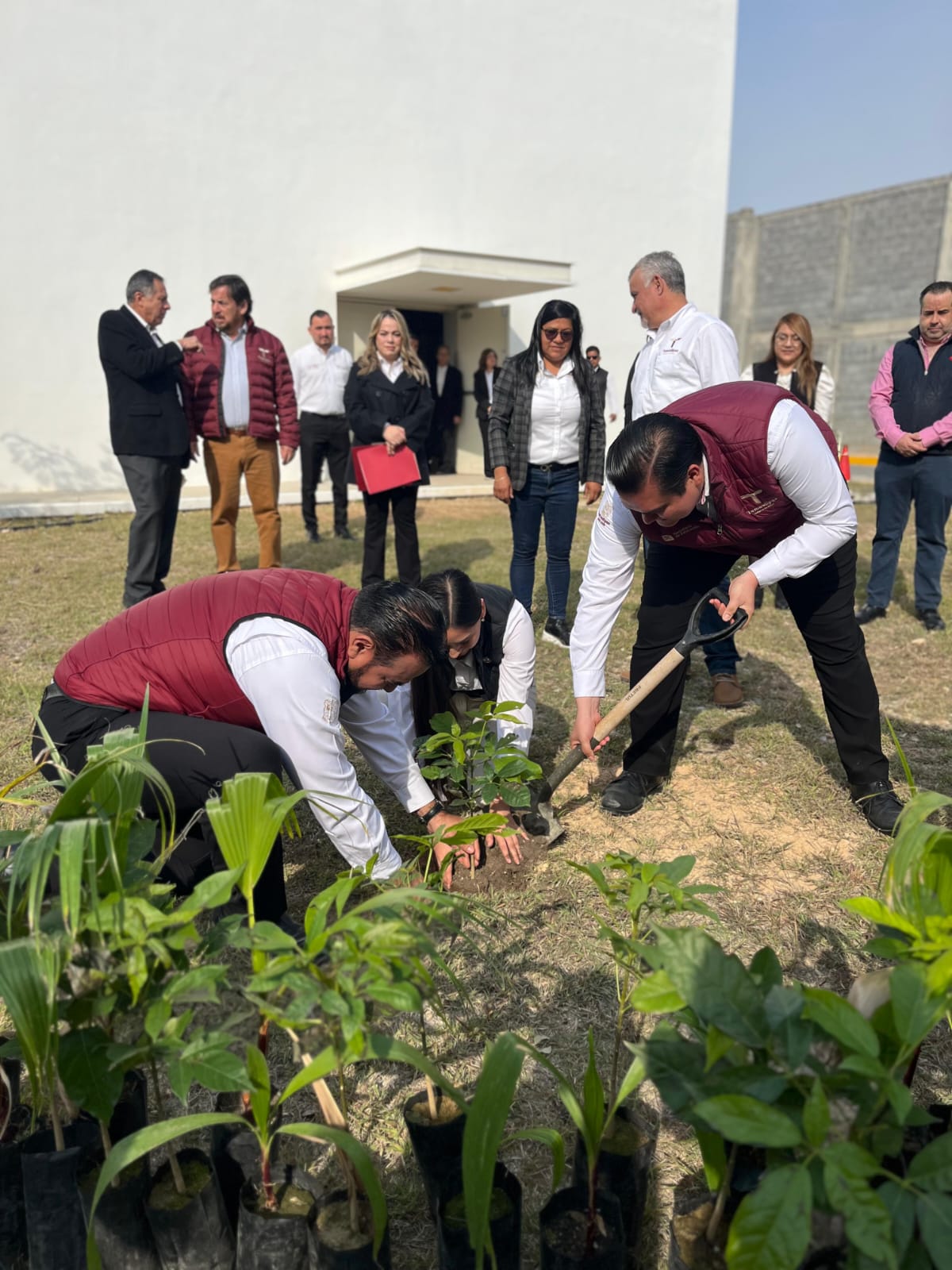 Conmemora SET y USJT  Día Mundial de la Educación Ambiental
