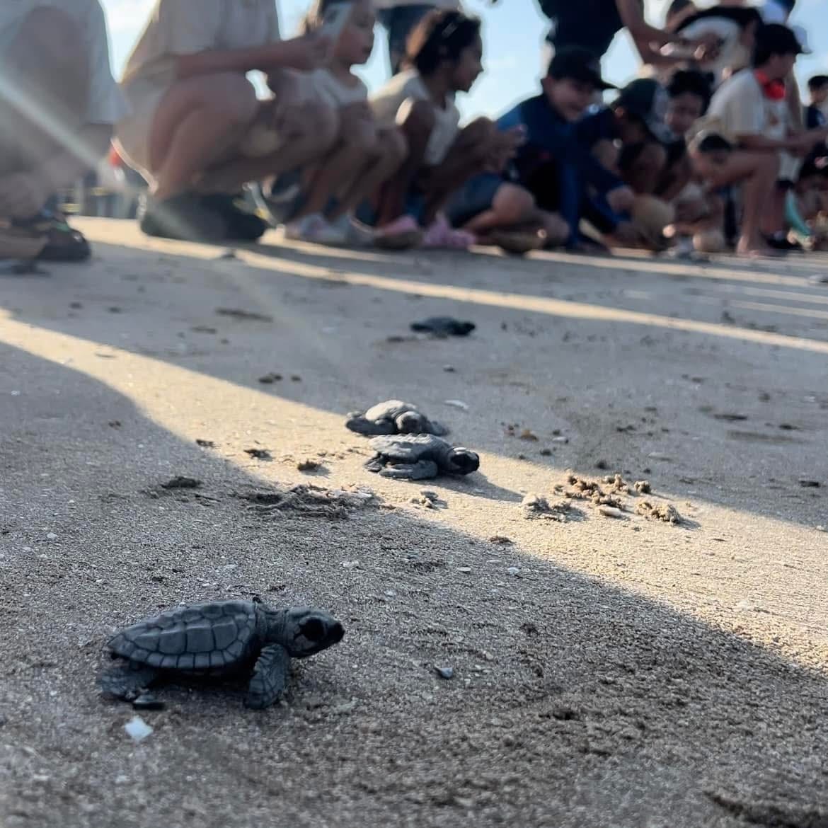 Proyectarán en televisión las maravillas naturales de Tamaulipas CPBT